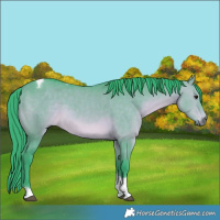 Horse Color:Watercolor Brown Dun Tobiano Rabicano 