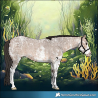 Horse Color:White Spotted Brown Ice Roan Dun 