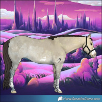 Horse Color:Bay Ice Dun Rabicano 