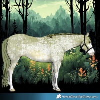 Horse Color:Watercolor Chestnut Ice Sabino 