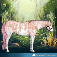 Horse Color:Watercolor Chestnut Ice Sabino 