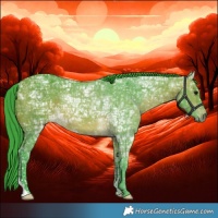 Horse Color:Watercolor Bay Ice 