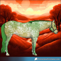 Horse Color:Watercolor Bay Ice 