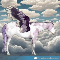Horse Color:Watercolor White Spotted Red Dun Ice Frame