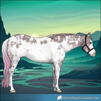 Horse Color:Watercolor White Spotted Chestnut Ice Frame