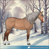 Horse Color:Silver Bay Dun 