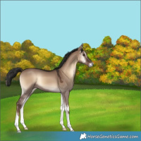 Horse Color:Liver Red Dun Onyx 