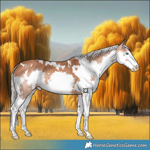Horse Color:White Spotted Silver Bay Splash 