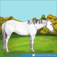 Horse Color:White Spotted Classic Champagne Ice Dun Sabino Splash 