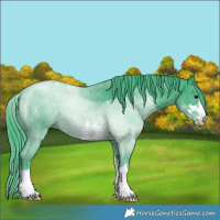 Horse Color:Watercolor Smoky Black 