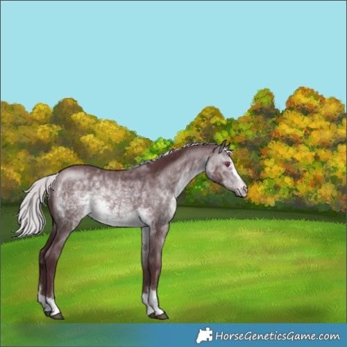 Horse Color:Chocolate Silver Brown Chinchilla 