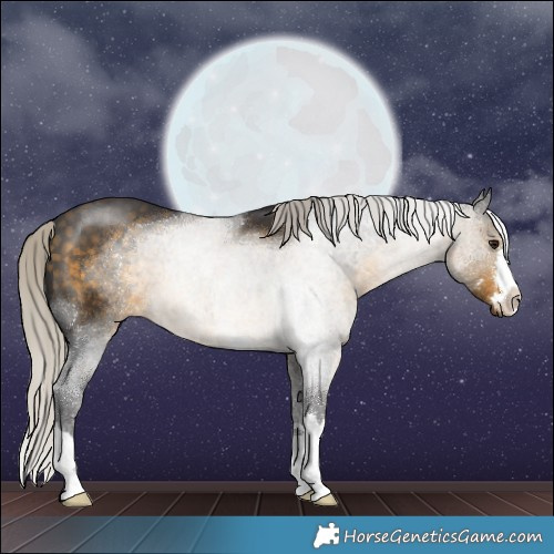 Horse Color:Silver Buckskin 