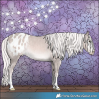 Horse Color:Platinum Palomino Appaloosa