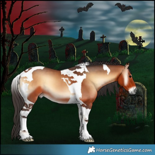 Horse Color:Bay Onyx Tobiano 