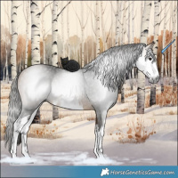 Horse Color:Gray White Spotted Buckskin 