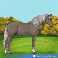 Horse Color:Silver Smoky Black Tobiano 