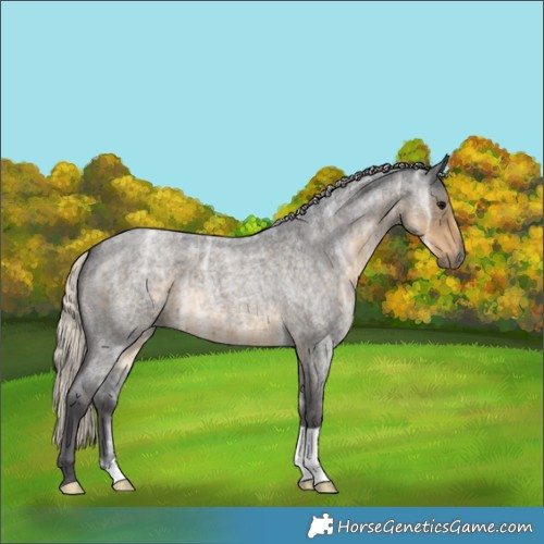 Horse Color:Silver Smoky Blue Ice Roan 
