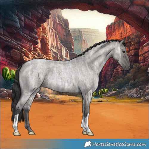 Horse Color:Smoky Grullo Ice Roan 