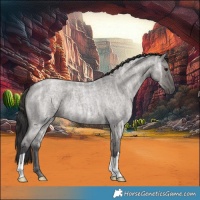 Horse Color:Smoky Grullo Ice Roan 