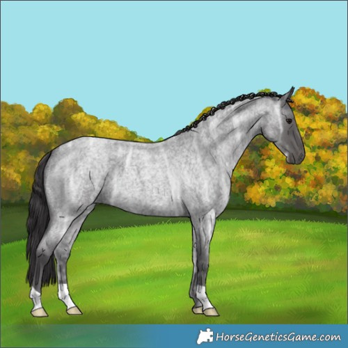 Horse Color:Smoky Blue Ice Roan 