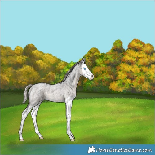 Horse Color:Silver Smoky Blue Ice Roan Splash 