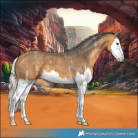 Horse Color:Silver Buckskin Ice Splash