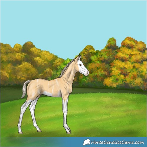 Horse Color:Palomino Ice Dun Splash 