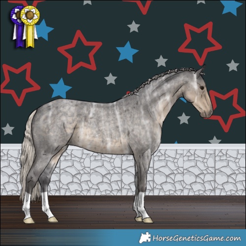 Horse Color:Silver Smoky Blue Ice Roan 