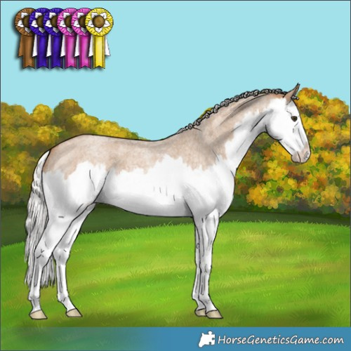 Horse Color:Silver Bay Roan Dun Splash 