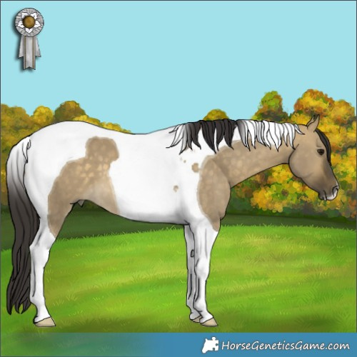 Horse Color:Buckskin Dun Tobiano