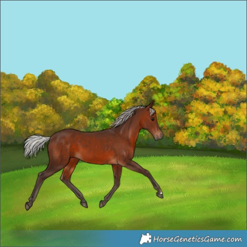 Horse Color:Silver Brown 