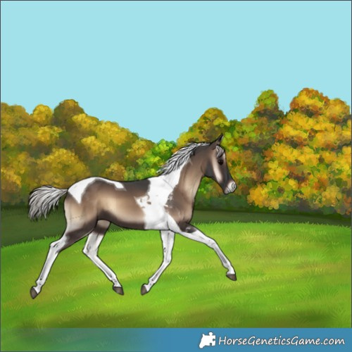 Horse Color:Silver Blue Onyx Tobiano 