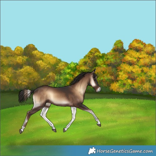 Horse Color:Liver Red Onyx 