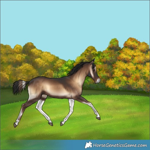 Horse Color:Liver Red Onyx 