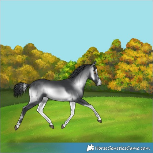 Horse Color:Brown Chinchilla Onyx 