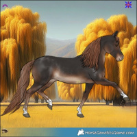 Horse Color:Liver Chestnut Rabicano 