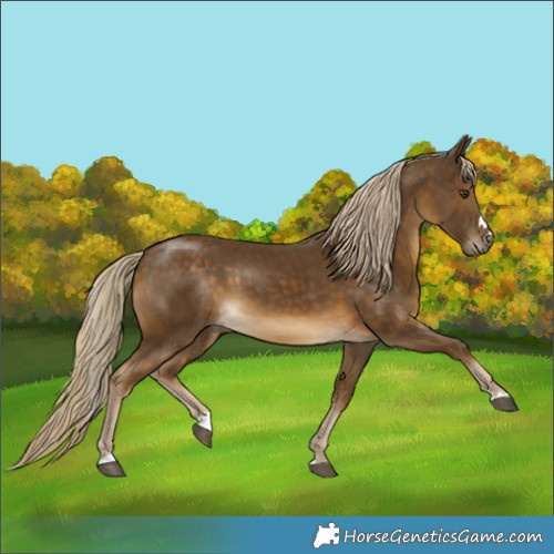 Horse Color:Chocolate Palomino Mushroom 