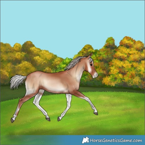 Horse Color:Silver Blue Onyx Pearl 