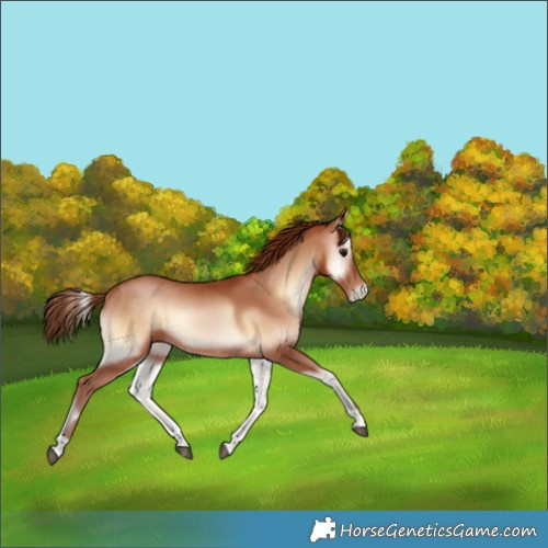 Horse Color:Brown Pearl Onyx 