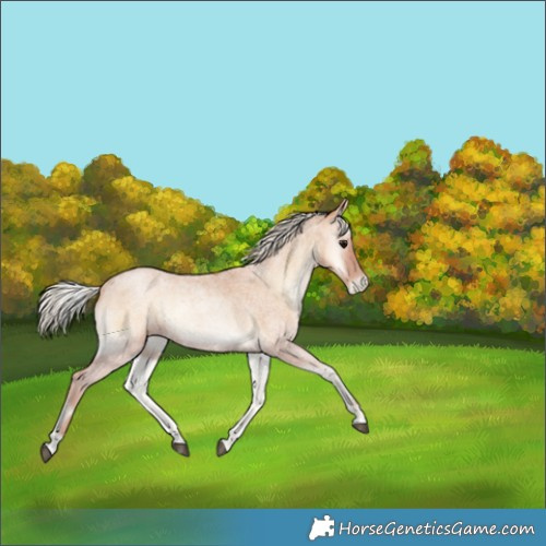 Horse Color:Silver Blue Onyx Roan Pearl 