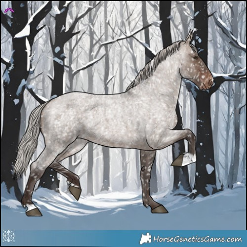 Horse Color:Silver Brown Roan Dun Appaloosa