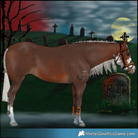 Horse Color:Silver Brown Sabino 