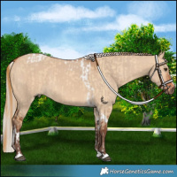 Horse Color:Red Dun Tobiano and Silver Bay Dun