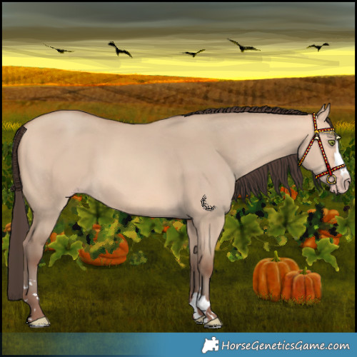 Horse Color:Amber Champagne Dun 