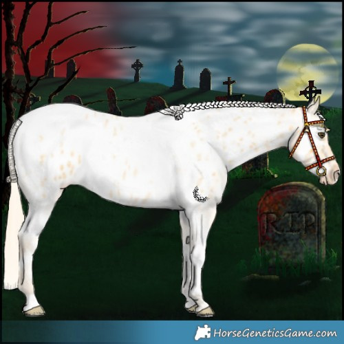 Horse Color:Palomino Roan Dun Splash Tobiano Appaloosa 