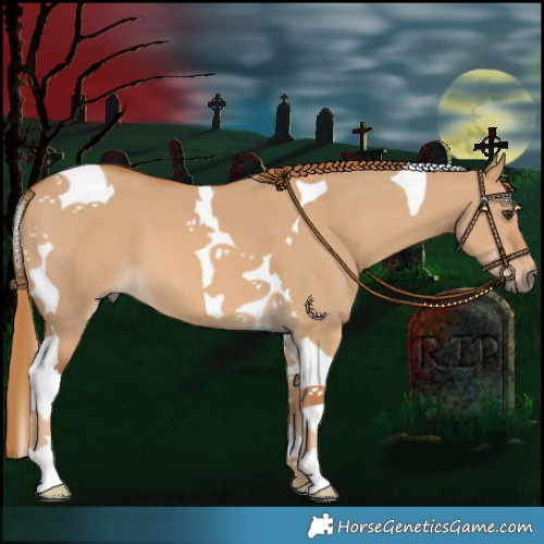 Horse Color:Red Dun Tobiano 