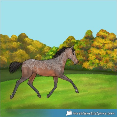 Horse Color:Brown Ice 