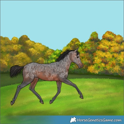 Horse Color:Brown Ice 