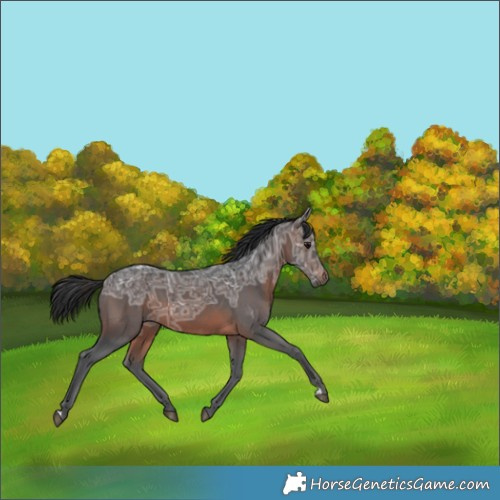 Horse Color:Brown Ice 