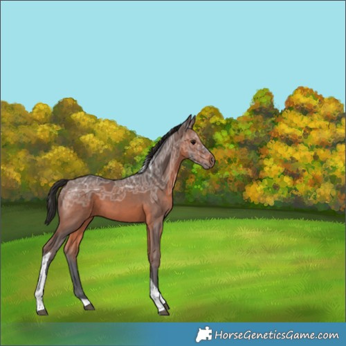 Horse Color:Brown Ice Tobiano Rabicano 
